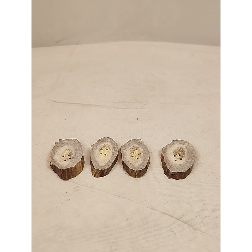 Set Of‎ 4~ 1.25" To 1.5" Natural Handmade Rustic Deer Antler 4 Hole Flat Buttons